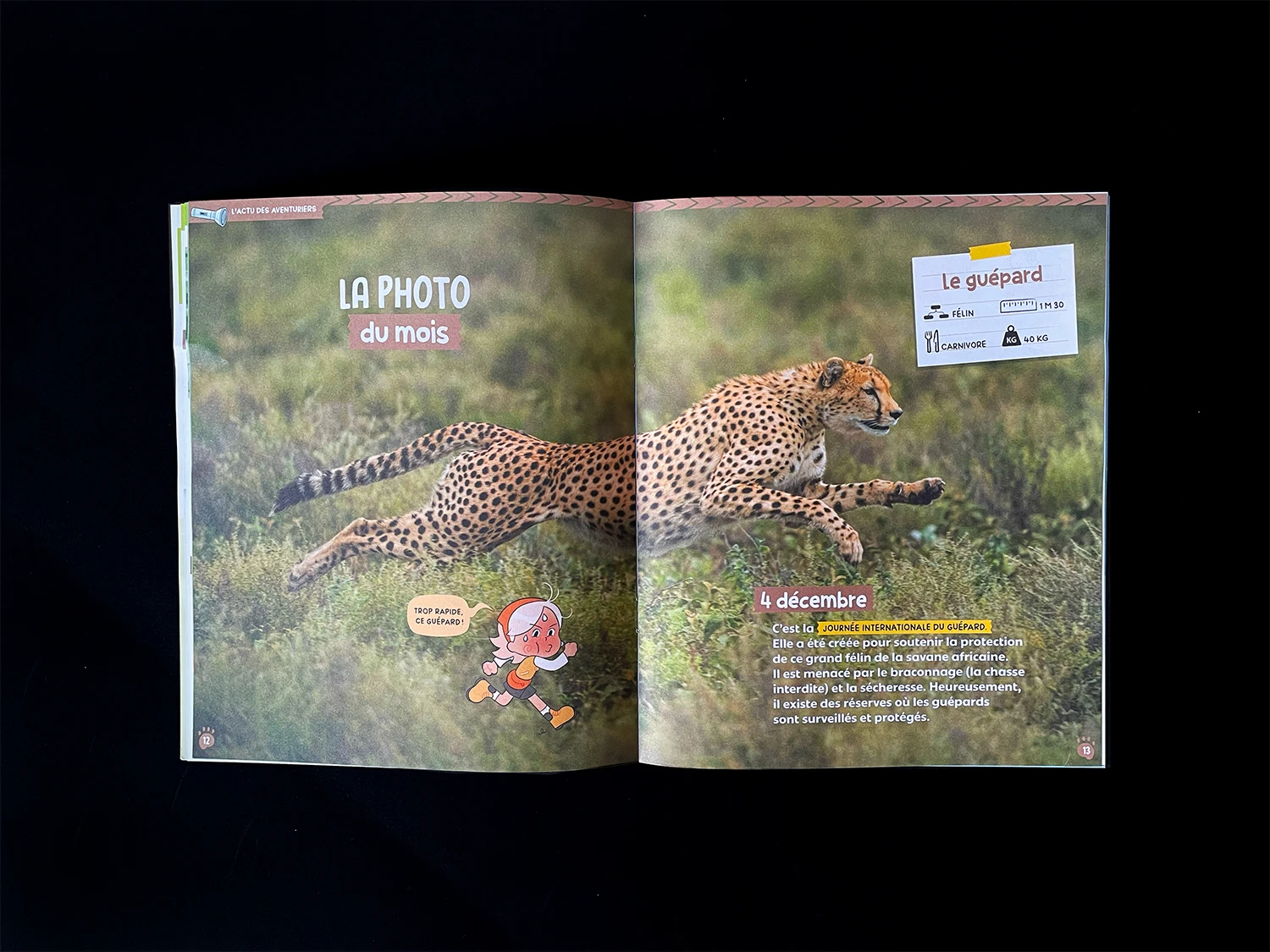 Pandacraft magazine aventuriers nature